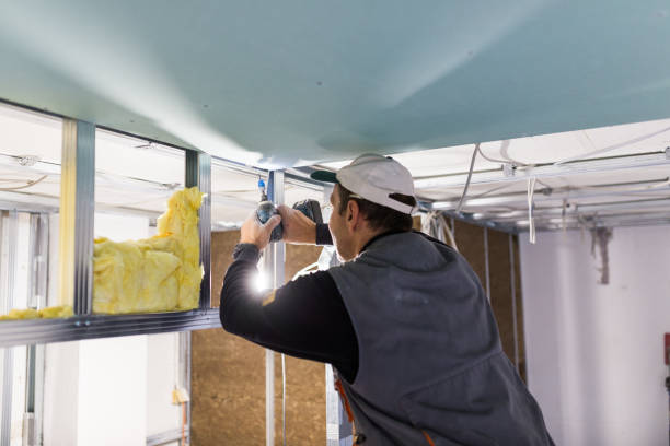 Best Insulation Removal Services  in Middletown, DE